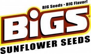 bigslogo